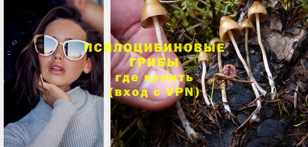 MDMA Premium VHQ Зеленодольск